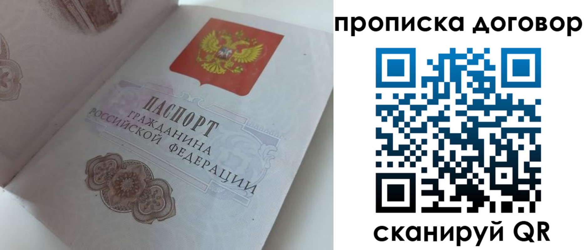 прописка поиск в Стародубе